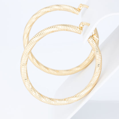 Hoop Earring With A Unique twisted