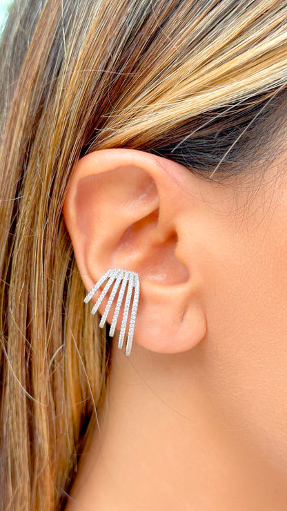 Ear hook earring
